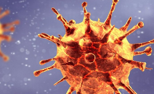 Đột biến trốn thoát – Dấu hiệu đáng báo động của virus SARS-CoV-2?